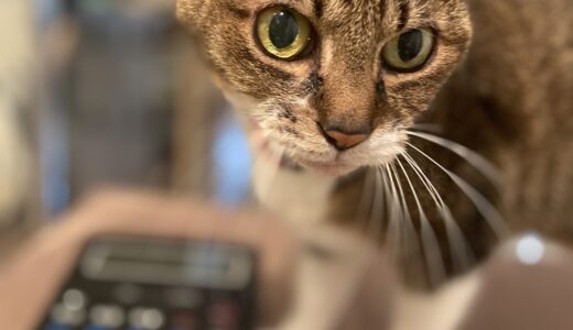 ご来店ありがとうございました!