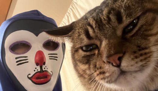 ハロウィンご来店(遅ればせながら)ありがとうございました!