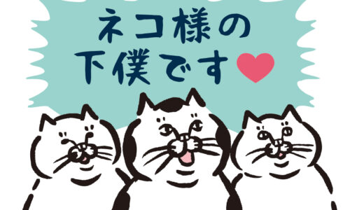 2月はニャンコ月ですにゃー🐾